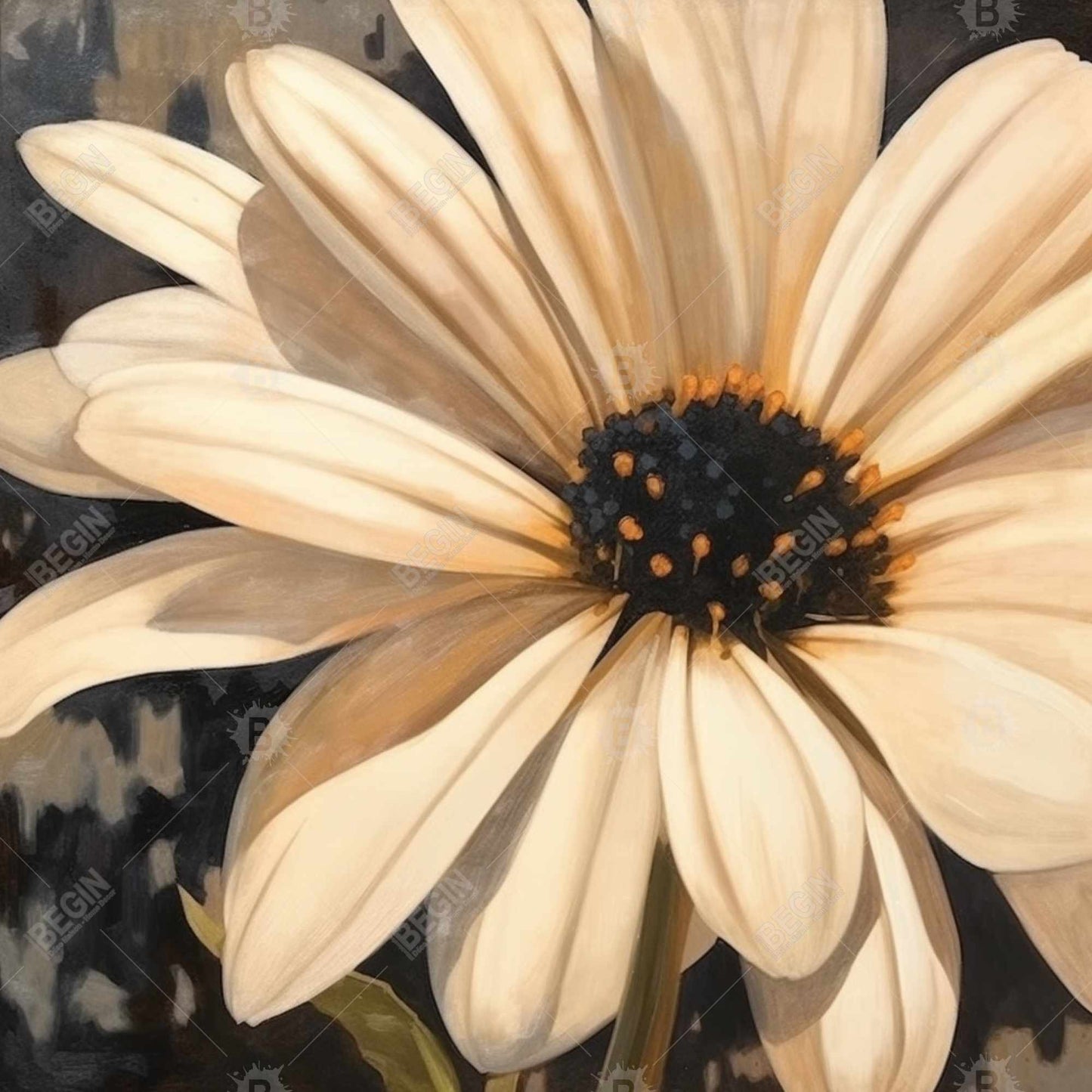 Open Daisy Black Flowers Canvas - Home Decor Botanical Art