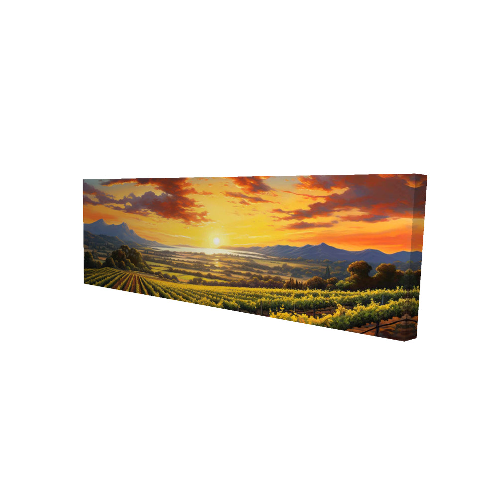 16"x48"