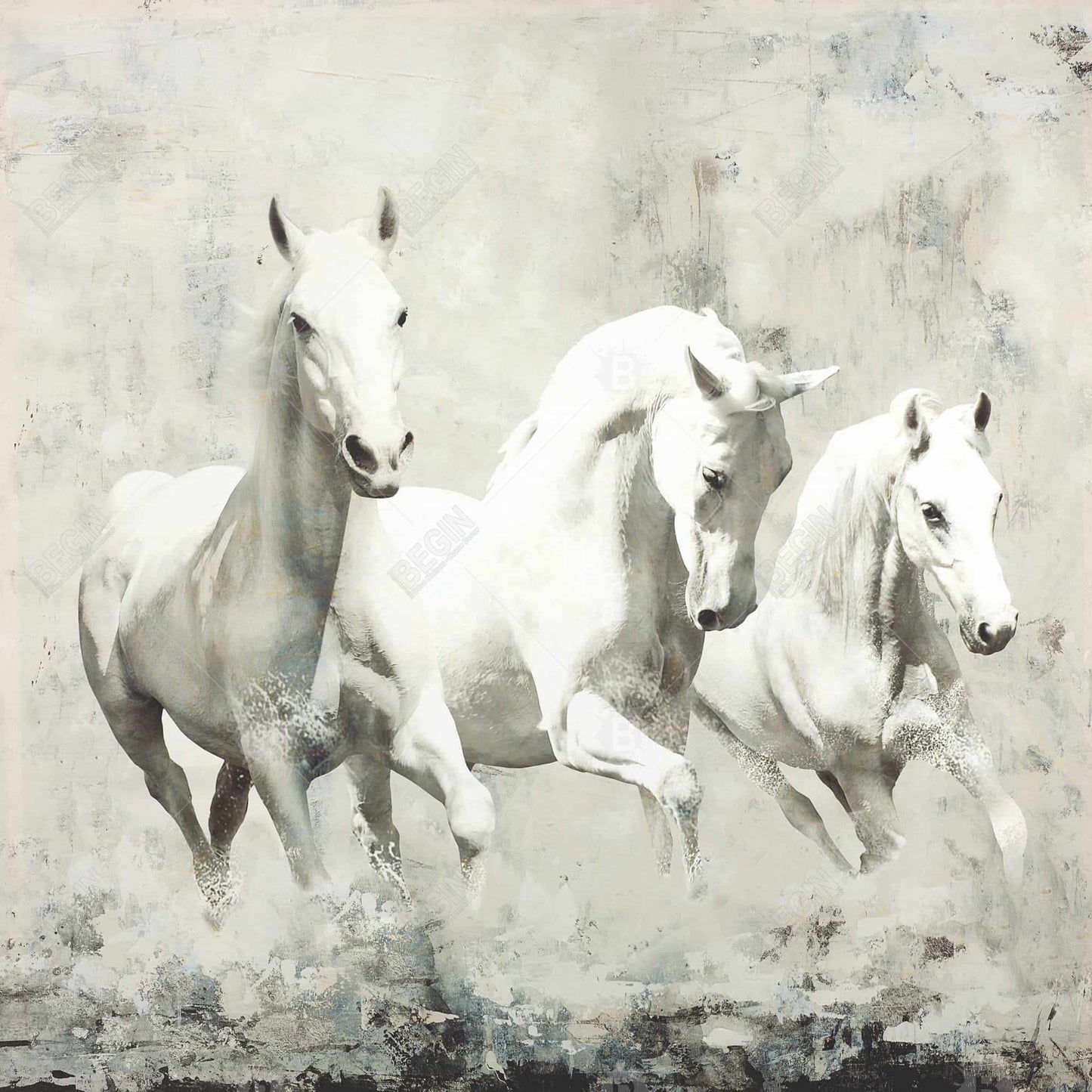 Three White Horses Running Canvas | Western Home Decor Art