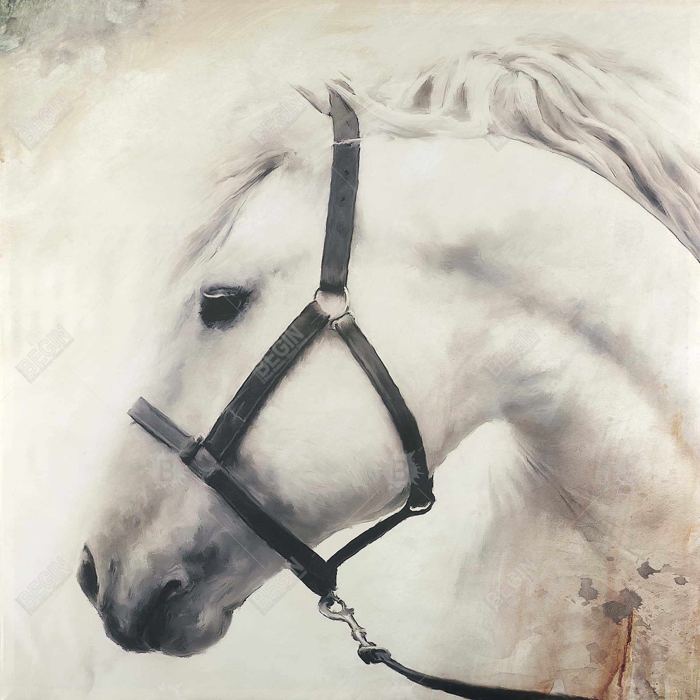 Toile Darius le cheval blanc | Décoration de chambre avec animaux de la ferme