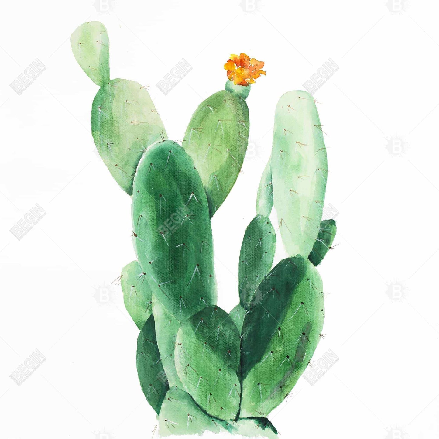 Watercolor Paddle Cactus Canvas | Botanical Bedroom Decor