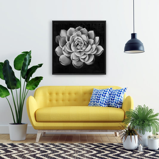 Toile noire et blanche avec plantes succulentes | Décoration florale et botanique pour la maison