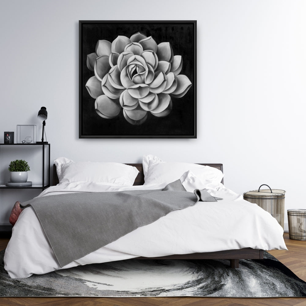 Toile noire et blanche avec plantes succulentes | Décoration florale et botanique pour la maison