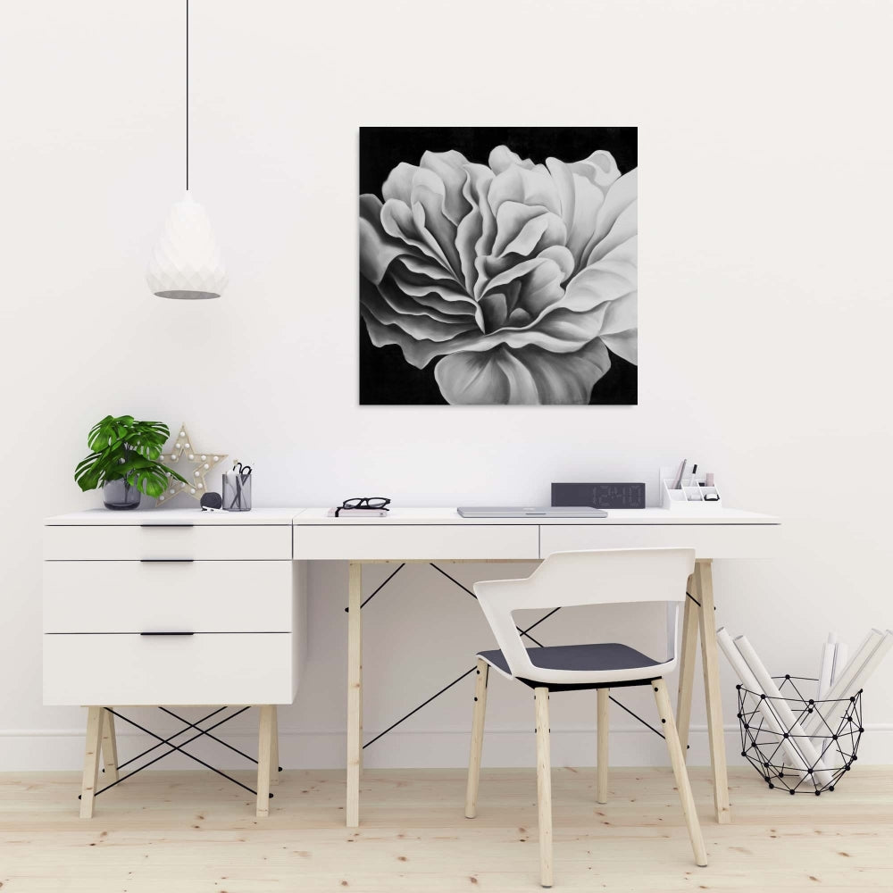 Beautiful Black and White Flower Canvas - Botanical Wall Art