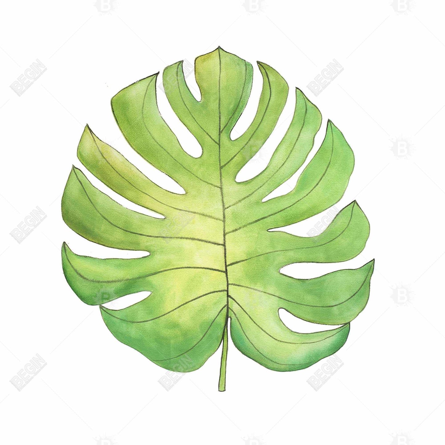 Tropical Leaf Canvas | Exotic Floral & Botanical Wall Art Decor