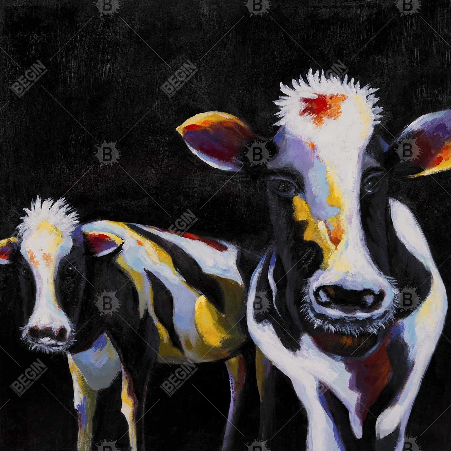 Two Funny Cows White Canvas - Contemporary Animal Wall Art