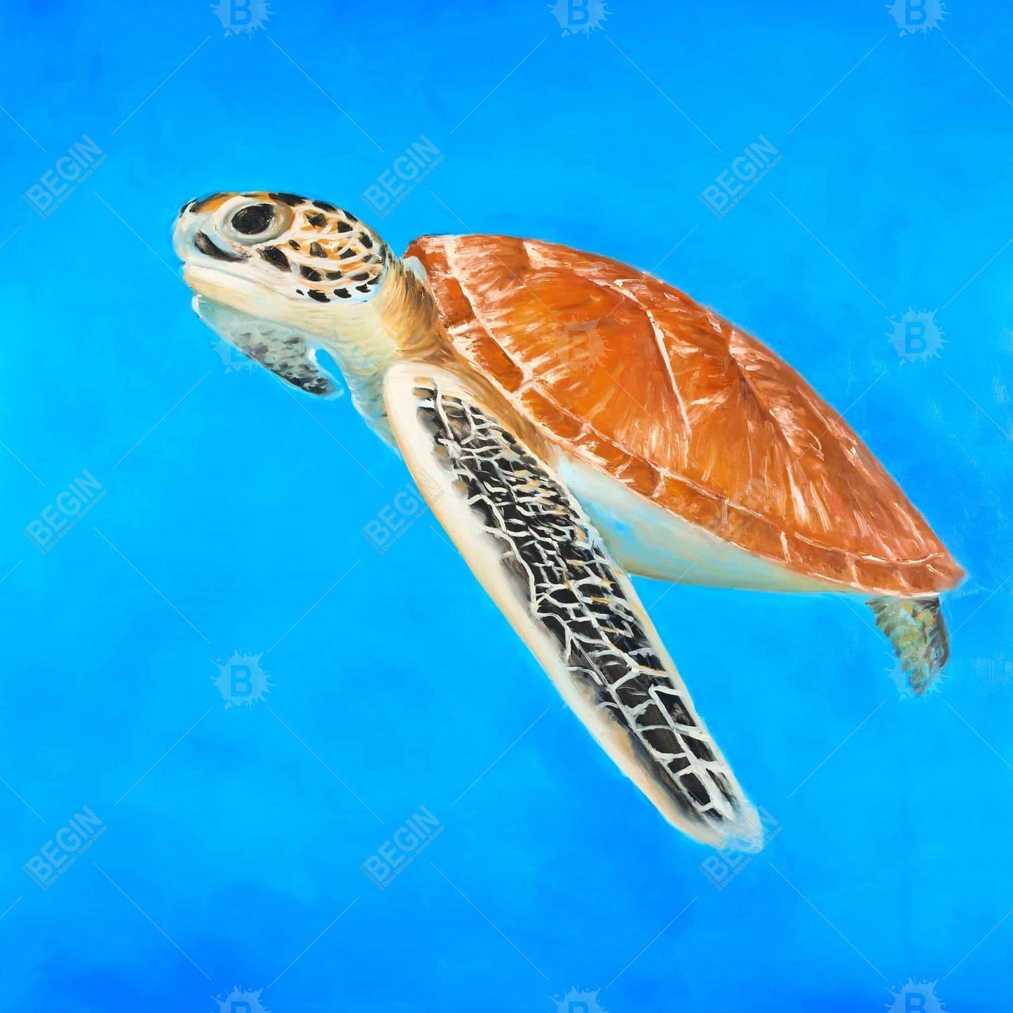 Sea Turtle Canvas | Bedroom Animals | Blue Framed Wall Art