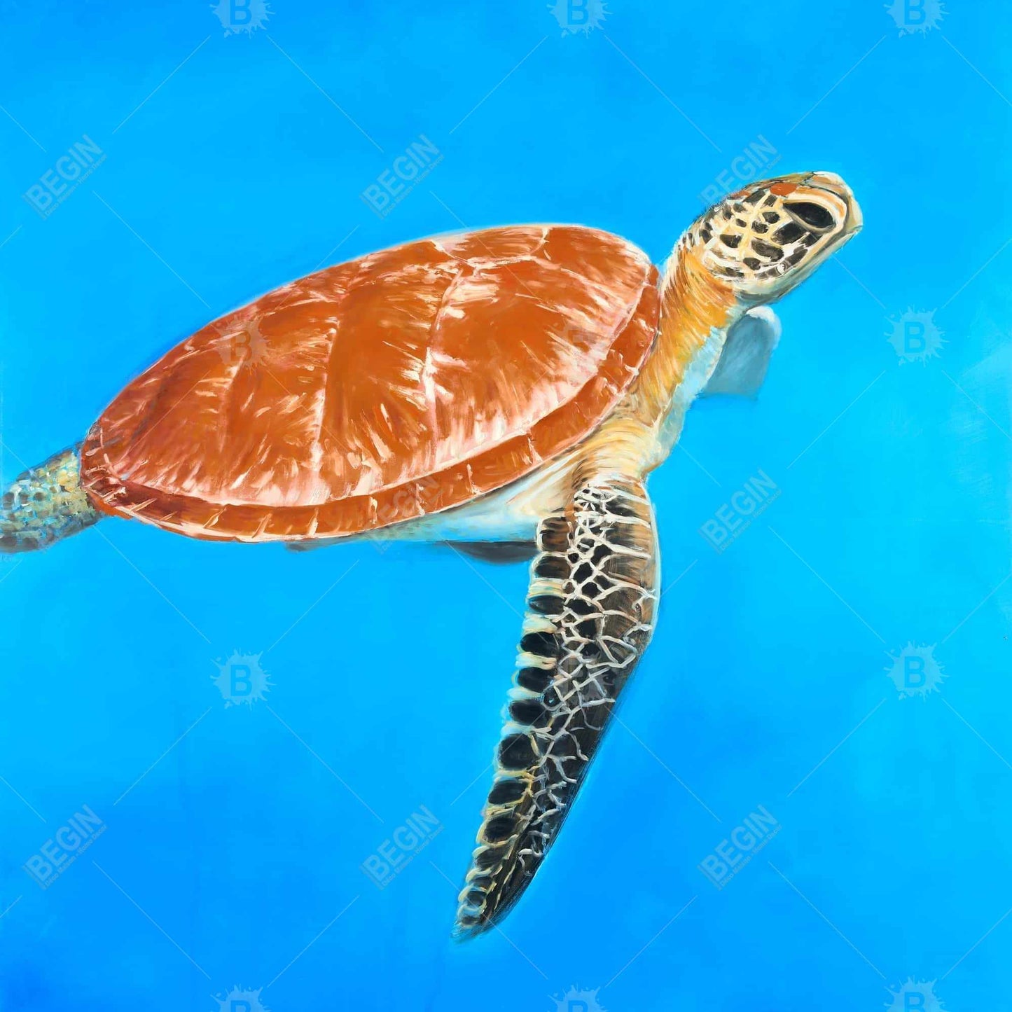 Green Aquatic Turtle Framed Canvas | Exotic Bedroom Decor
