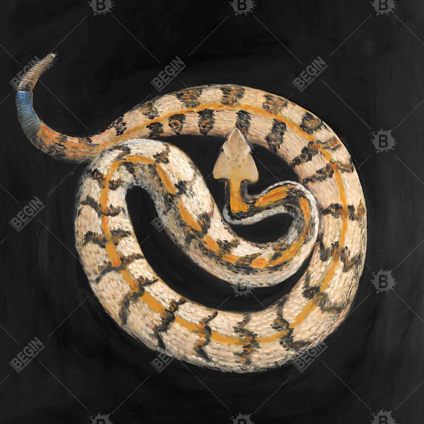 Southern Timber Rattlesnake Canvas | Exotic Reptile Decor