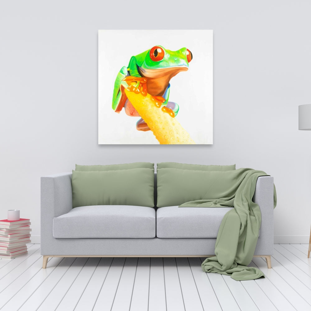 Curious Red Eyed Frog Canvas | Green Reptile Bedroom Decor