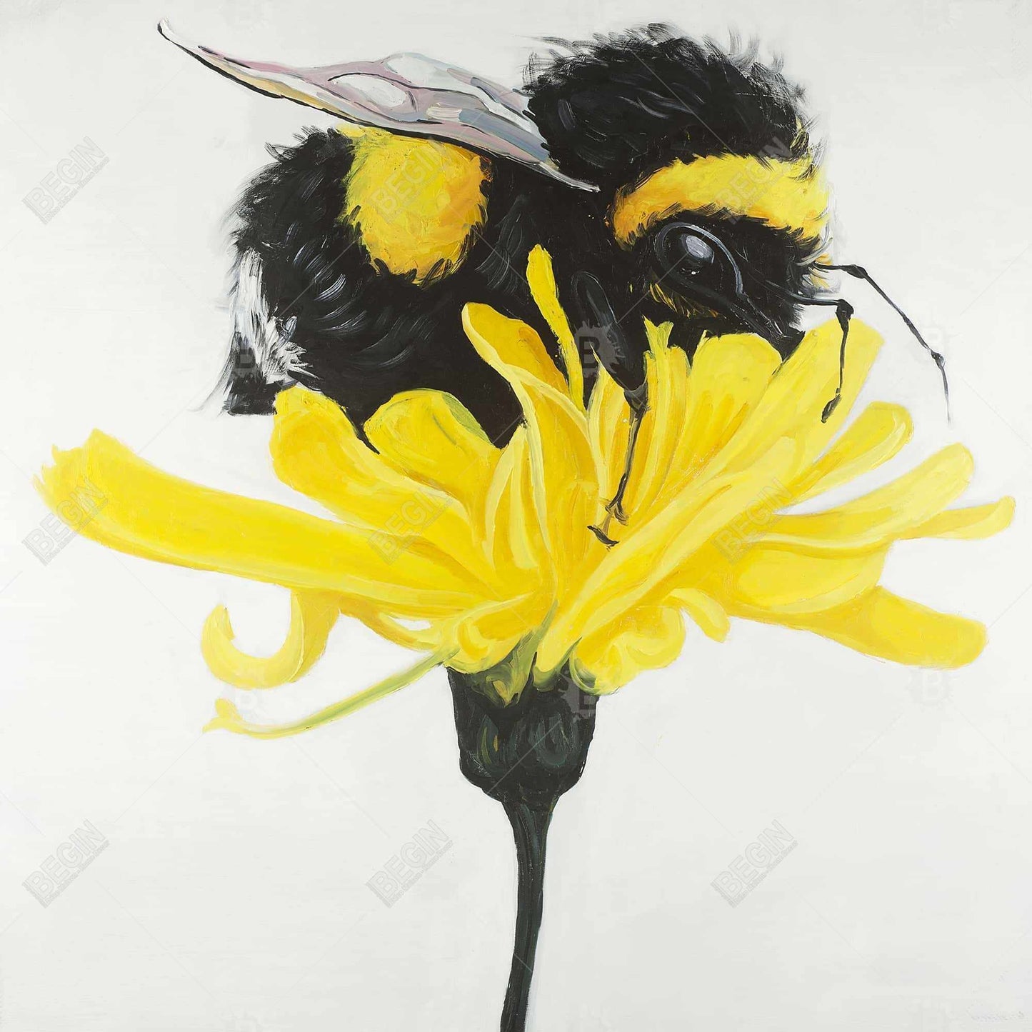 Bumblebee on Dandelion Framed Canvas - Modern Home Decor