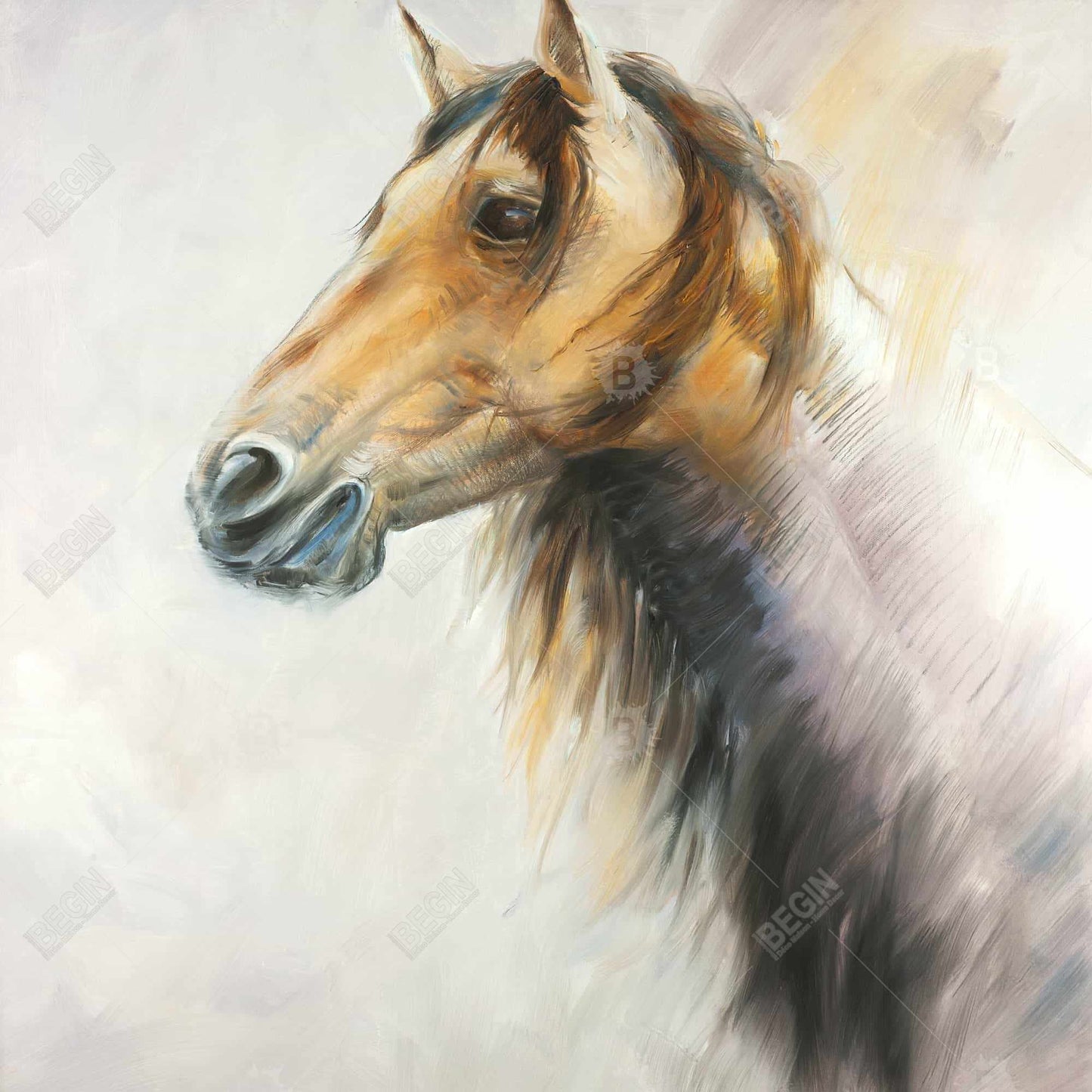 Wild Horse Canvas | Rustic Farm Animal Decor for Bedroom