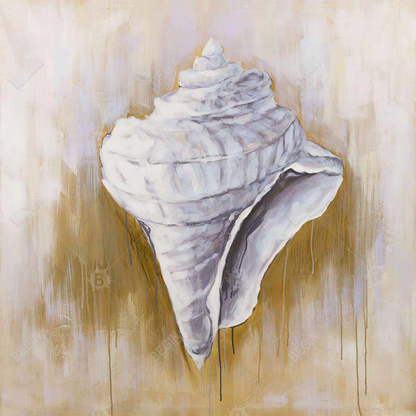 Coastal Conical Shell Framed Canvas - Contemporary Home Decor