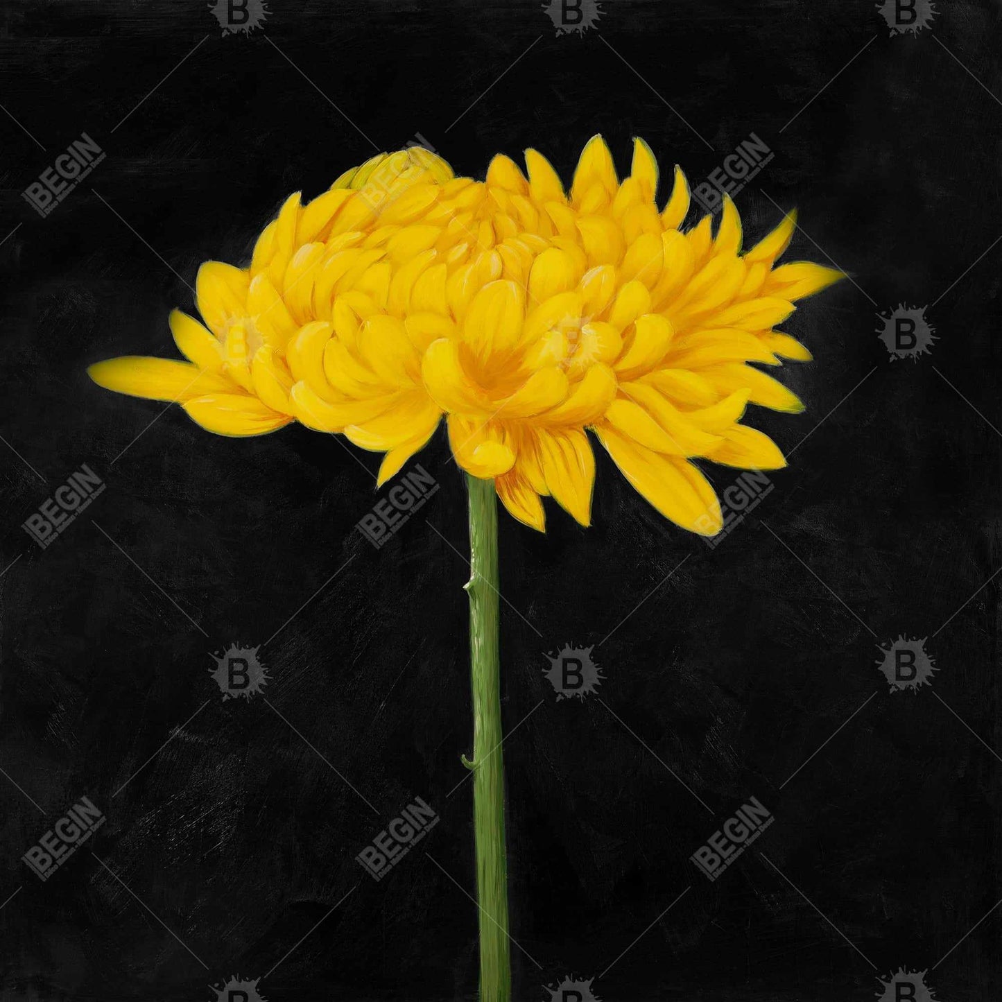 Rustic Botanical Chrysanthemum Framed Canvas | Bedroom Decor