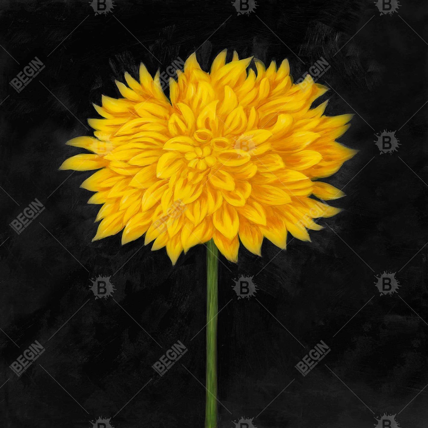 Toile chrysanthème jaune | Décoration de chambre florale et botanique
