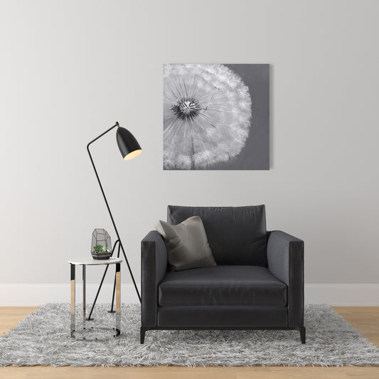 Romantic Dandelion Puff Ball Canvas | Botanical Home Decor
