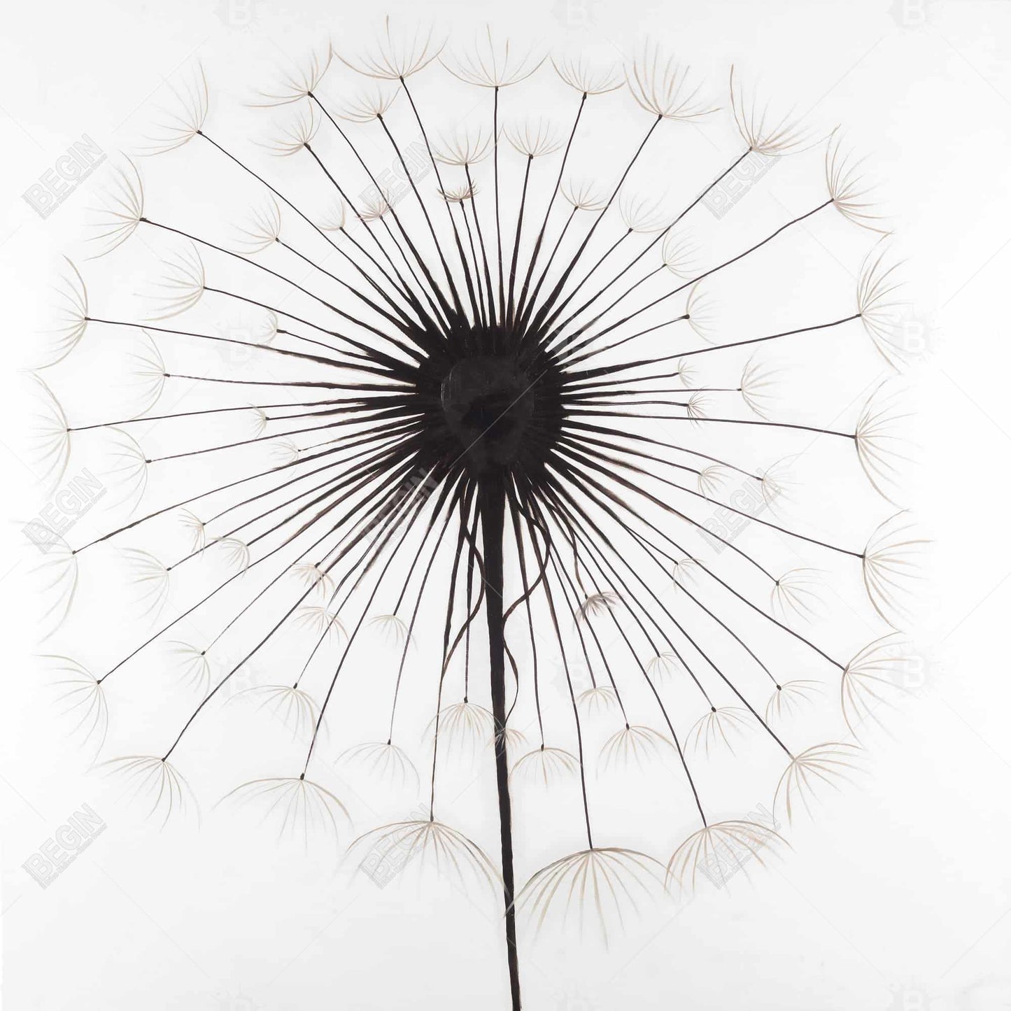 Dandelion Monochrome Framed Canvas | Floral Home Decor