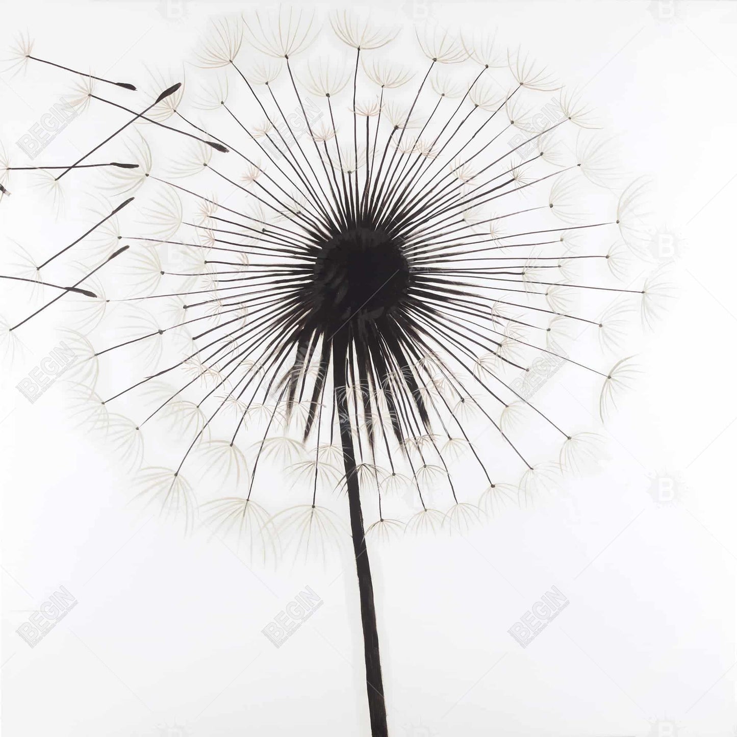 Silhouette of Dandelion Floral Canvas - White Bedroom Decor