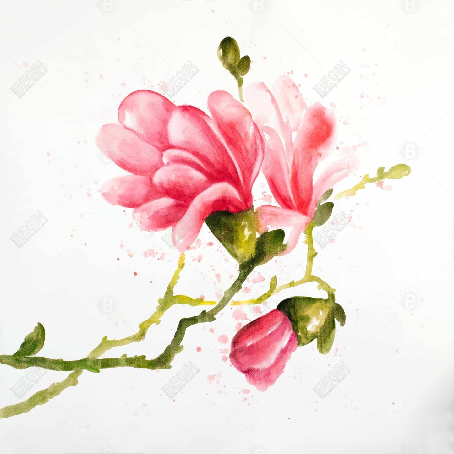 Toile encadrée Fleurs de magnolia rose | Décoration botanique pour chambre