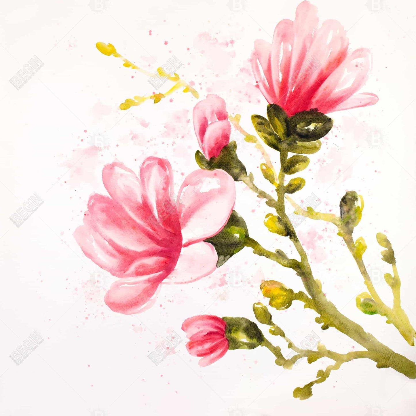 Toile encadrée « Fleurs de magnolia à l'aquarelle » | Décoration romantique