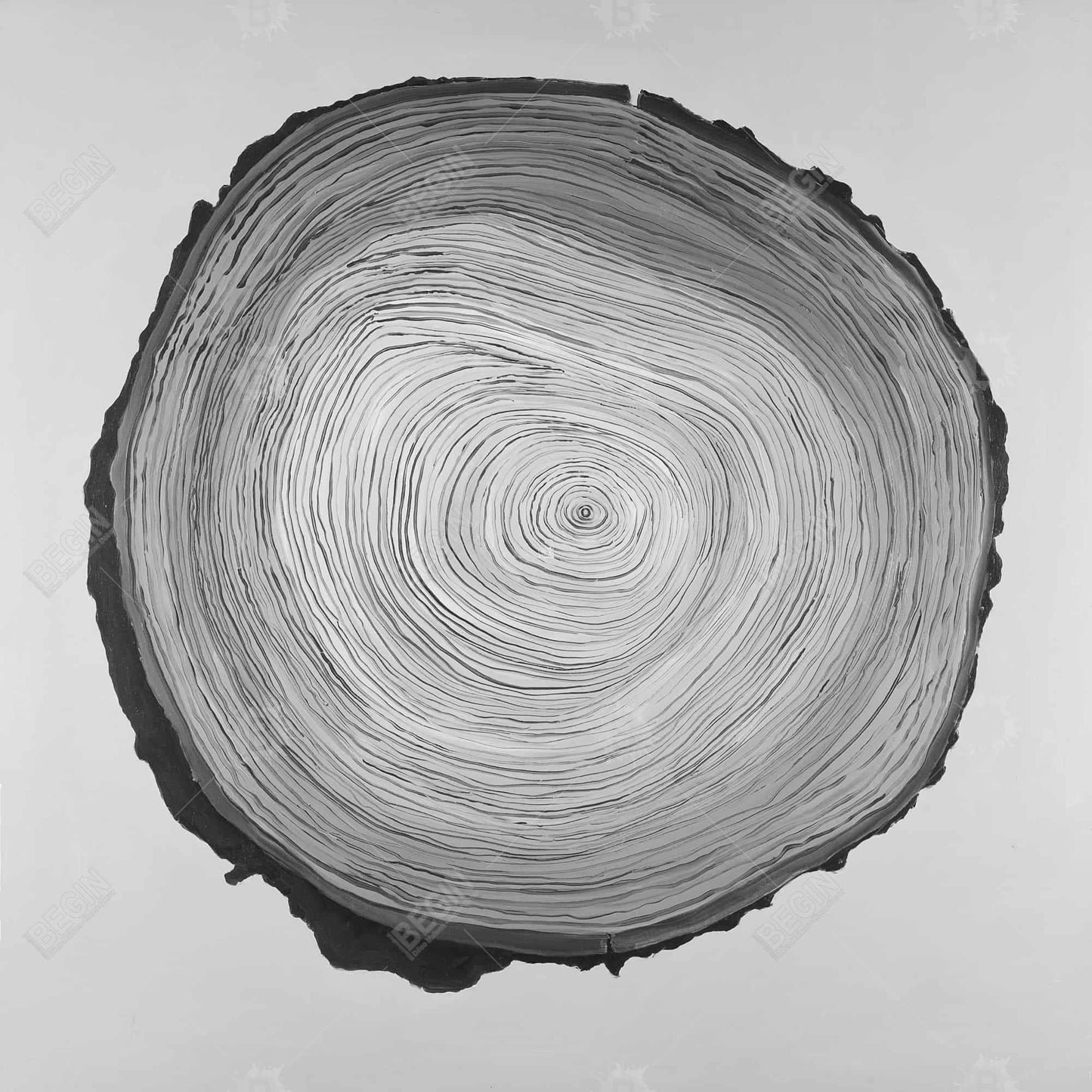 Gray Monochrome Trees Canvas - Grayscale Round Wood Log Decor