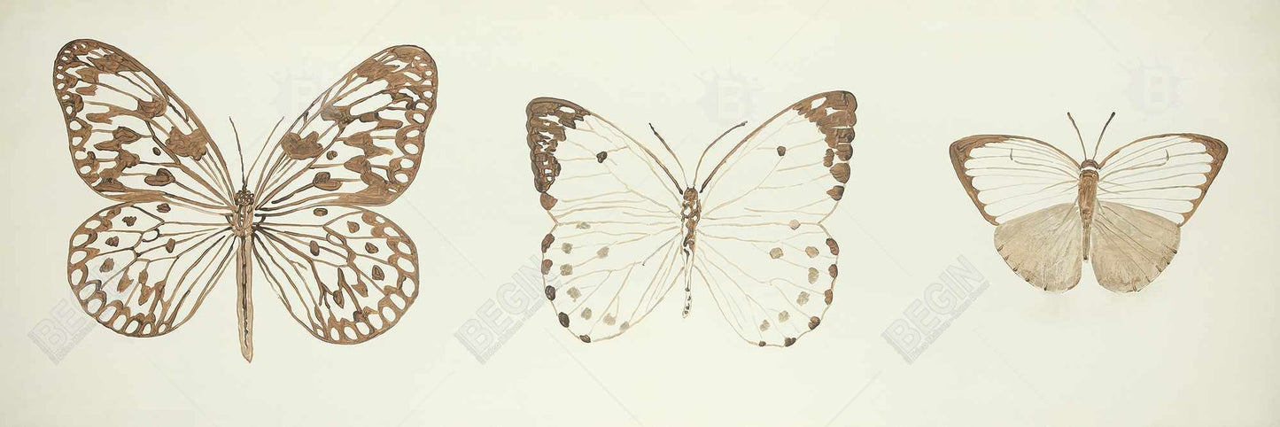 Sepia Butterflies Canvas | Brown Animal Bedroom Wall Art Decor