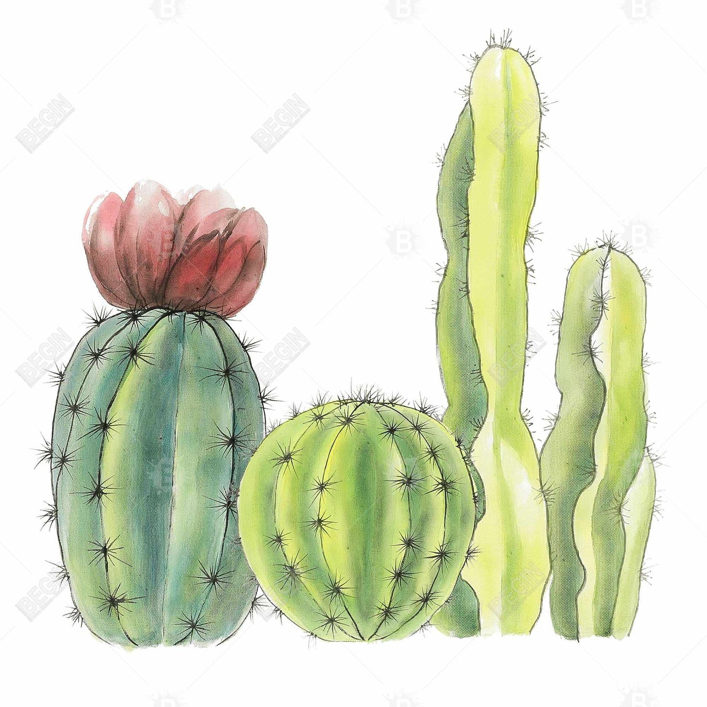 Exotic Red Botanical Canvas - Four Little Cactus Home Decor
