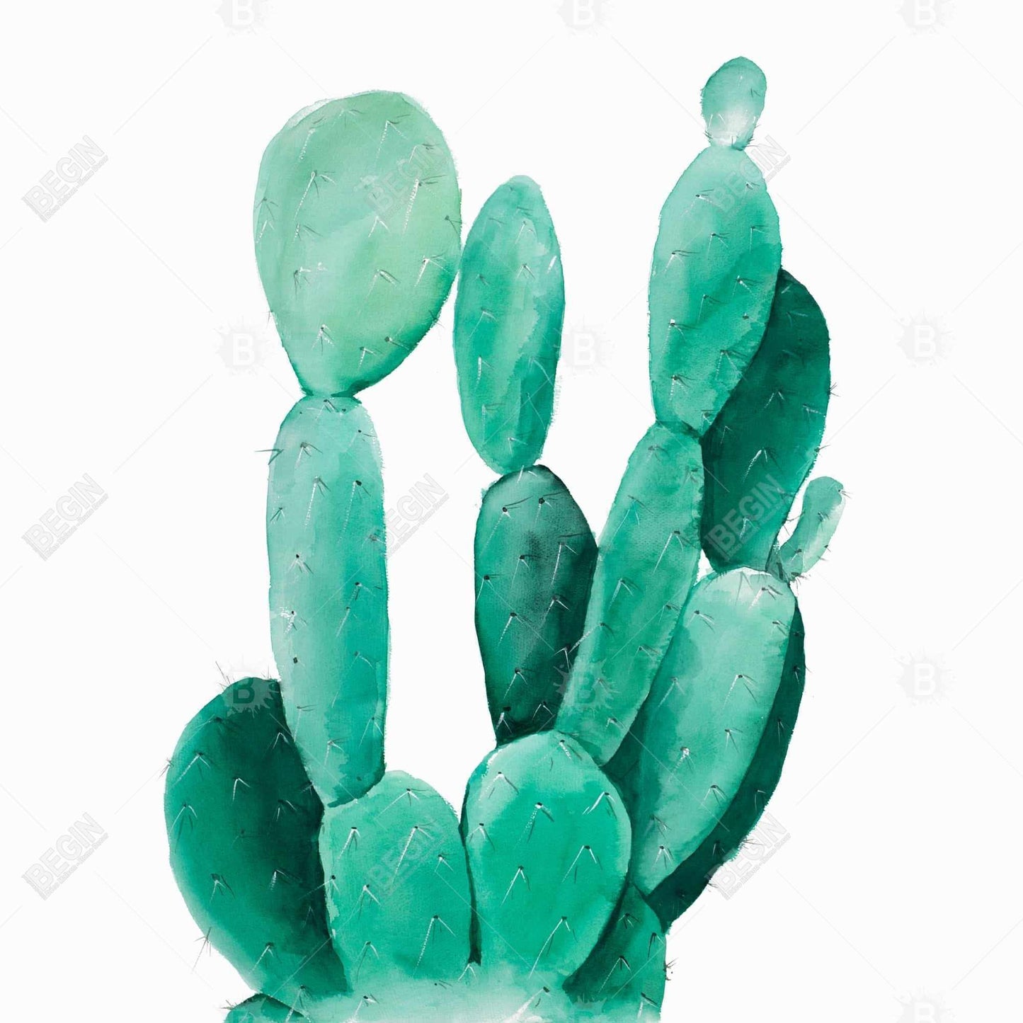 Exotic Green Watercolor Paddle Cactus Canvas | Home Decor