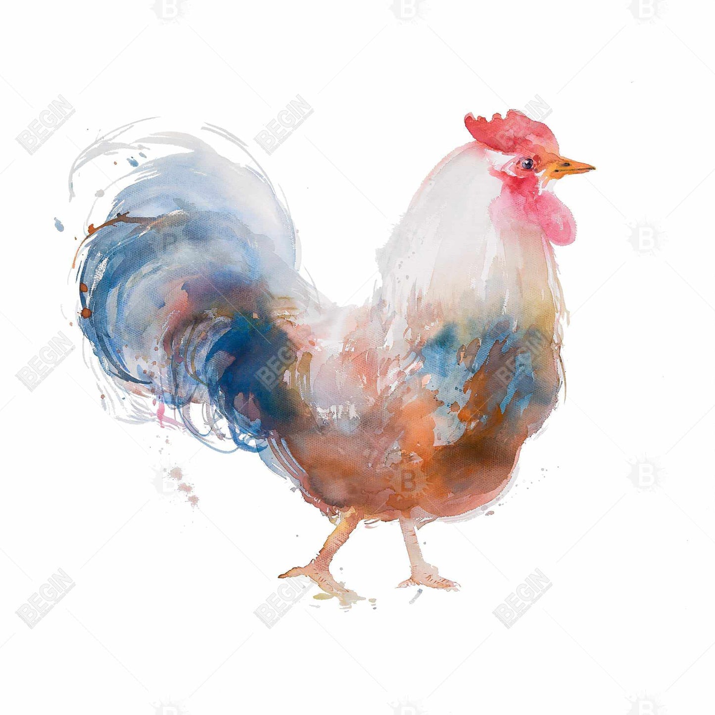 Toile aquarelle représentant un coq | Décoration de cuisine animalière encadrée