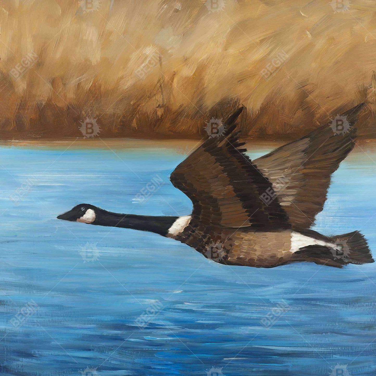Rustic Canada Goose Canvas | Bedroom Bird Framed Wall Art