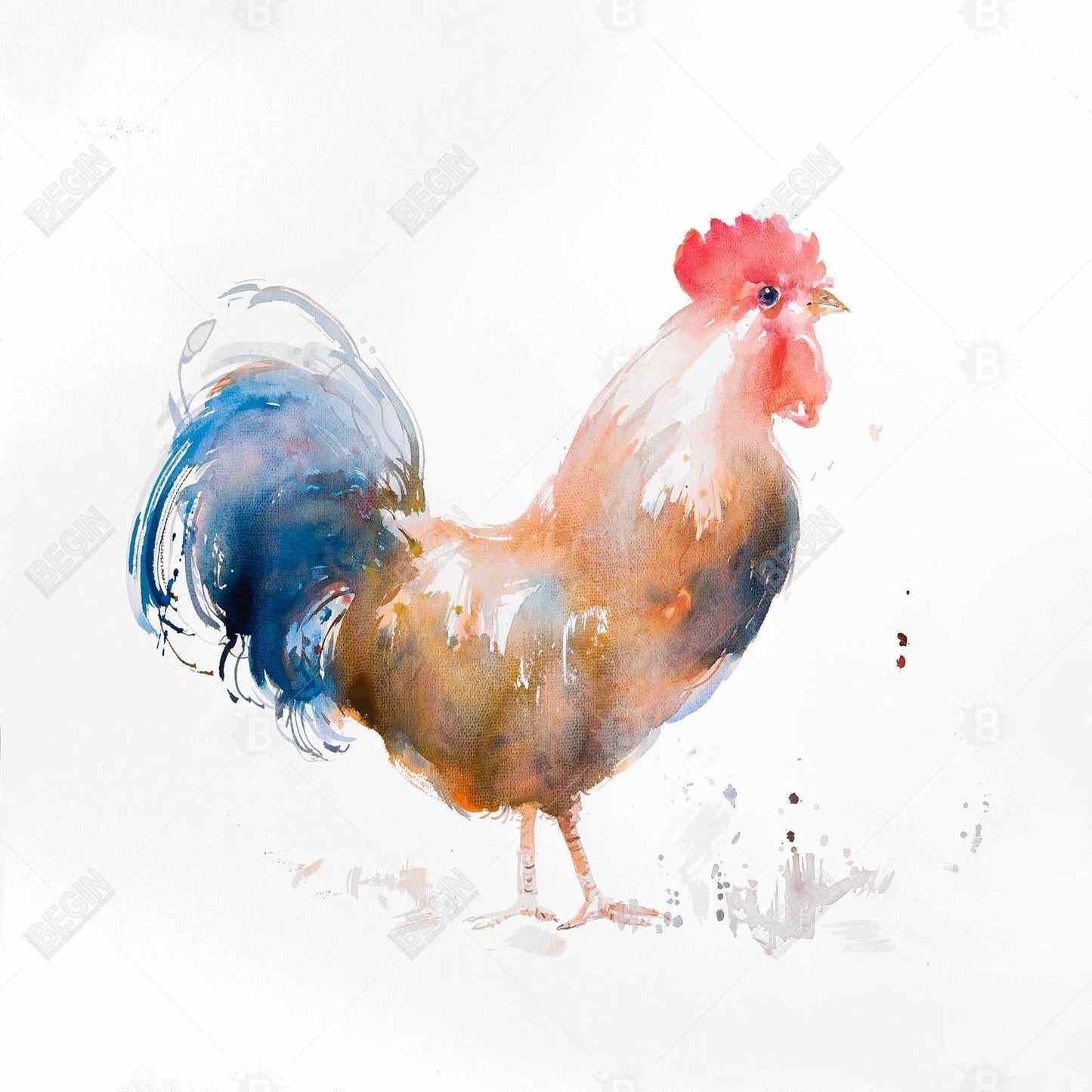 Toile aquarelle Coq | Décoration animalière encadrée bleue