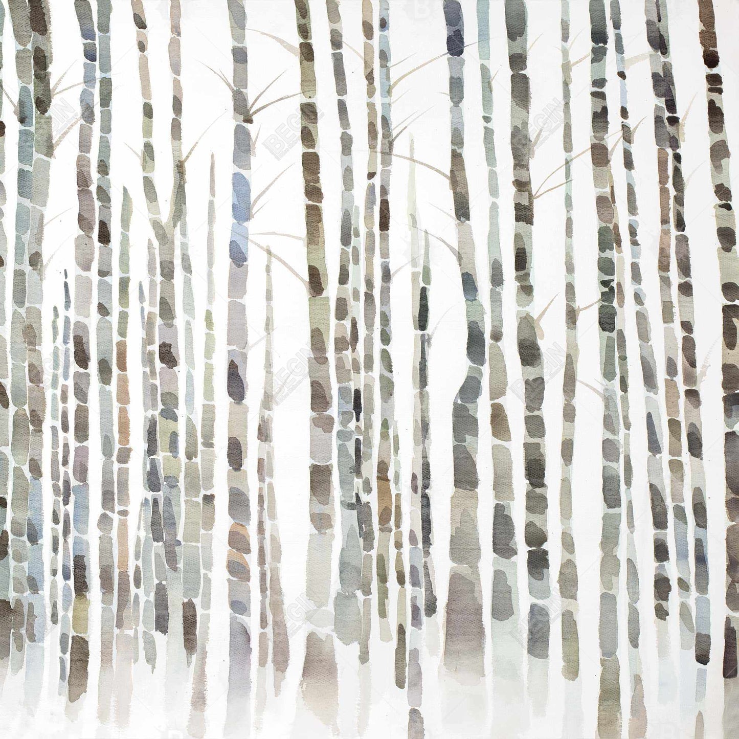Birch Trees Forest | Minimalist Framed Canvas Home Decor