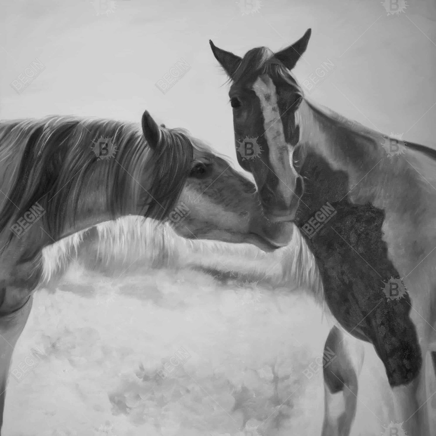Horses Lover Monochrome Framed Canvas | Farm Animals Decor