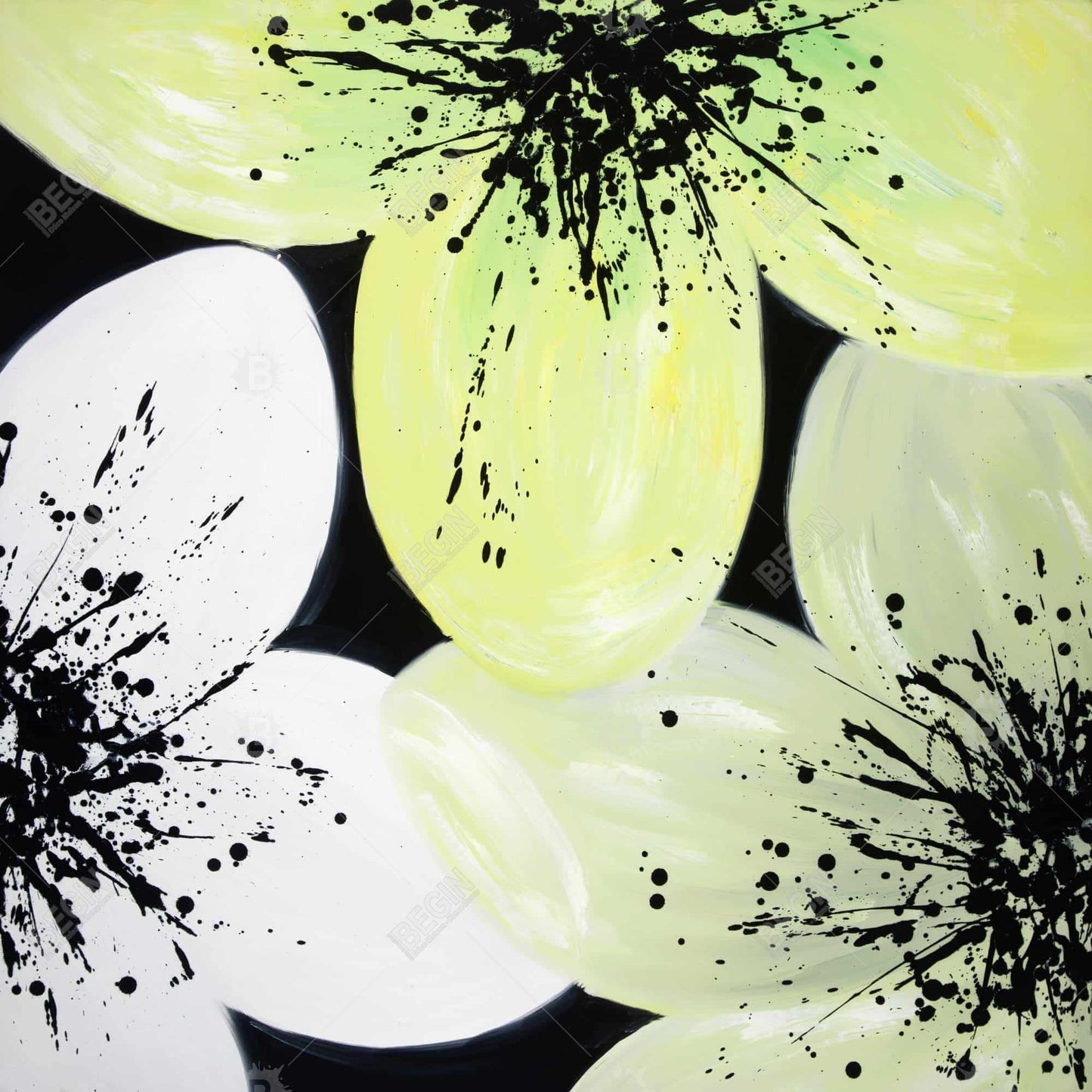 Pétales blancs et jaunes | Toile encadrée florale pour décoration intérieure