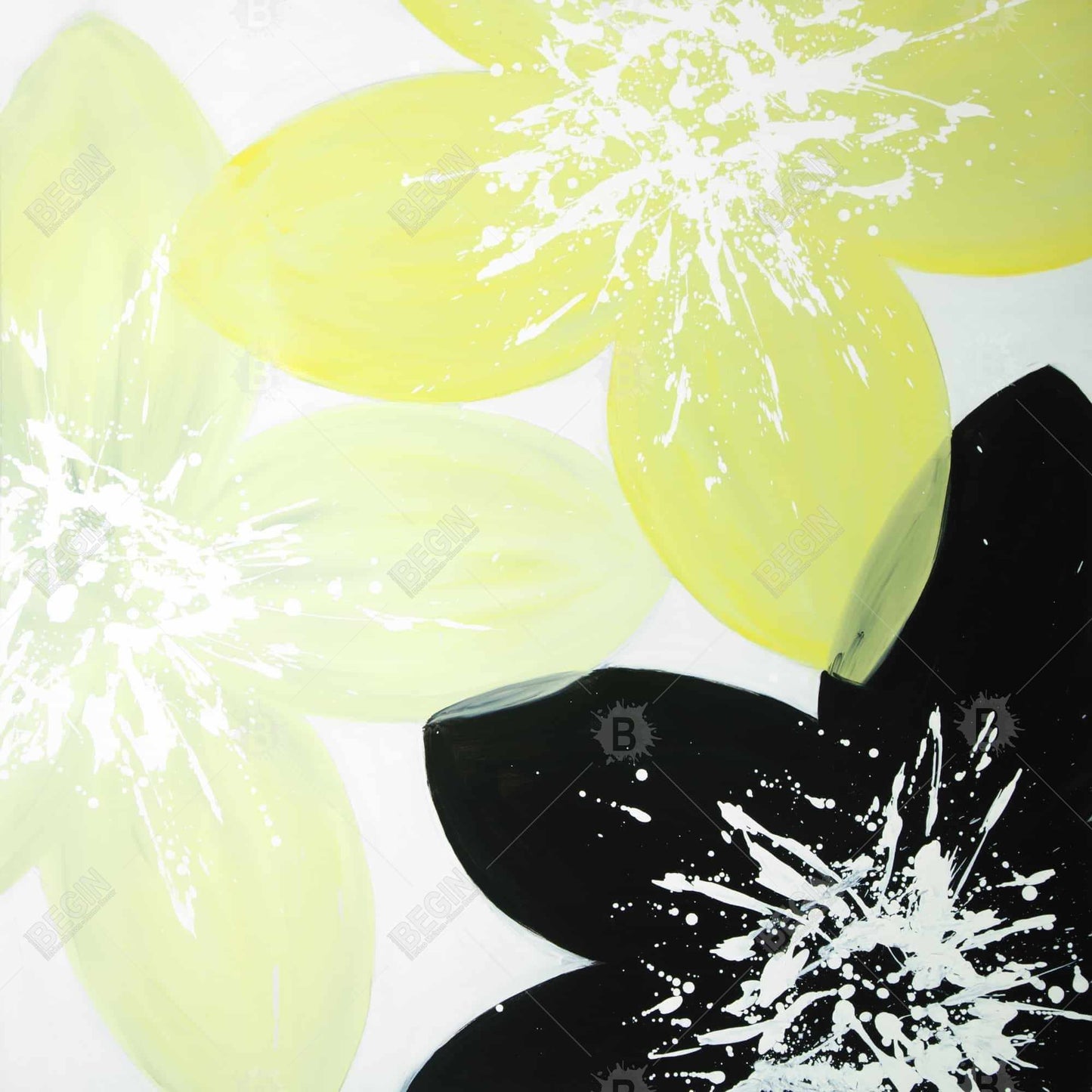 Fleurs jaunes au centre blanc | Toile encadrée pour décoration d'intérieur