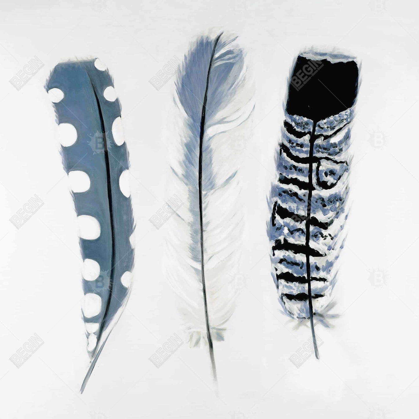 Delicate Blue Feathers Canvas | Animal Bedroom Home Decor