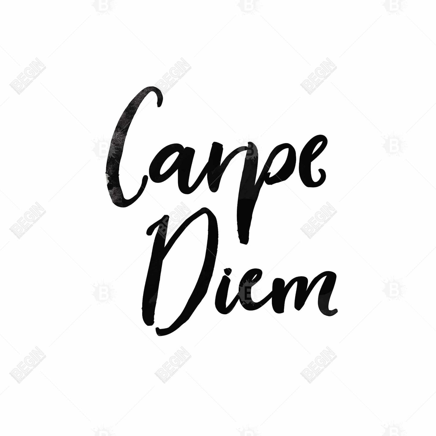 Toile encadrée avec citation minimaliste « Carpe Diem » – Décoration motivante