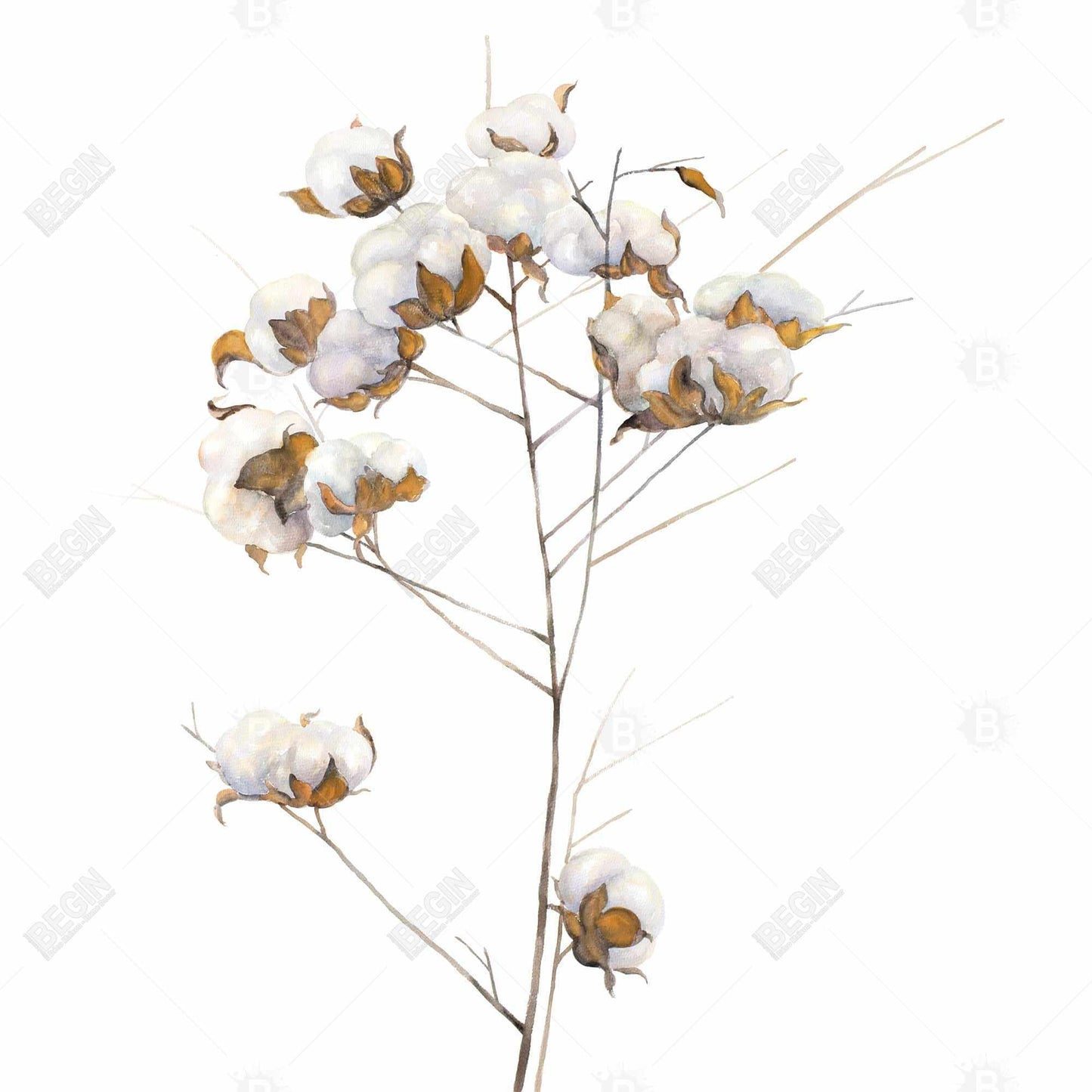 Toile encadrée à fleurs en coton blanc scandinave, décoration d'intérieur