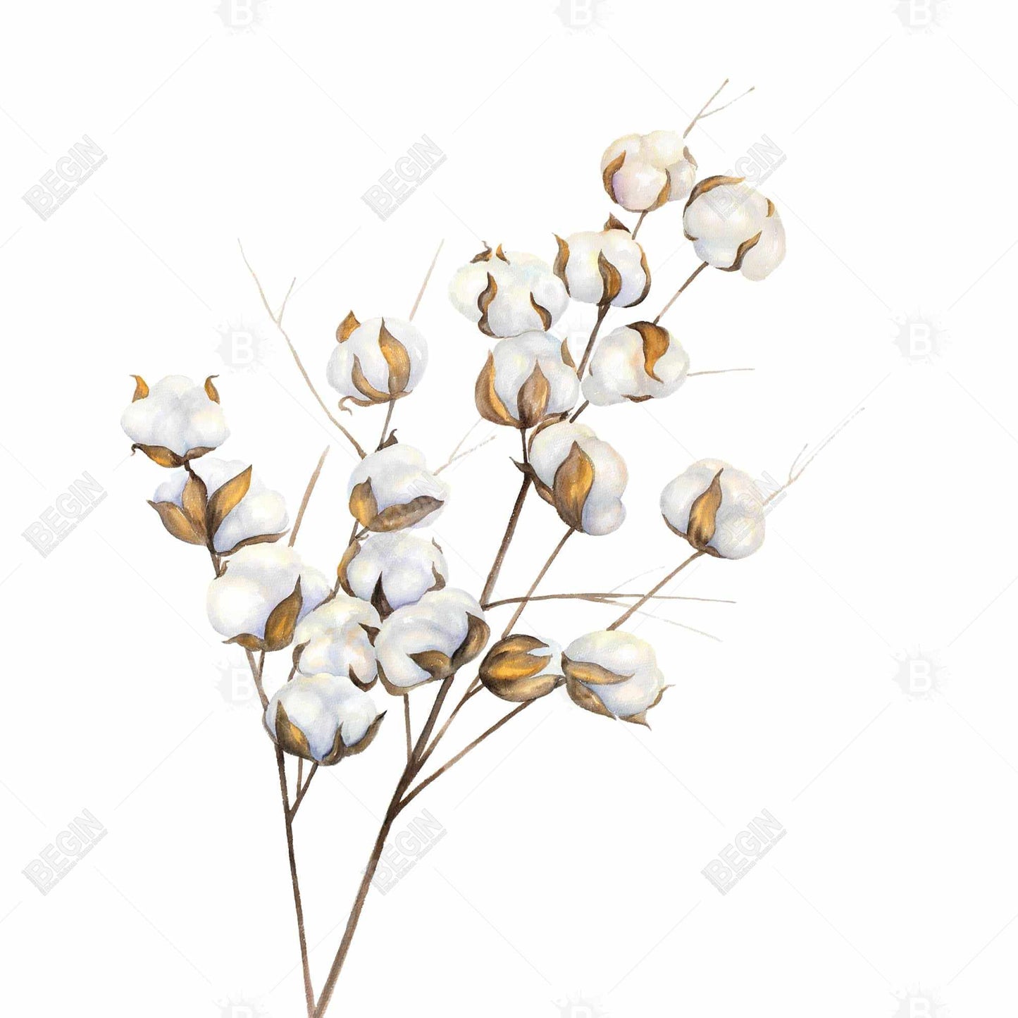 Scandinavian Floral Canvas | Cotton Flowers Branch Decor