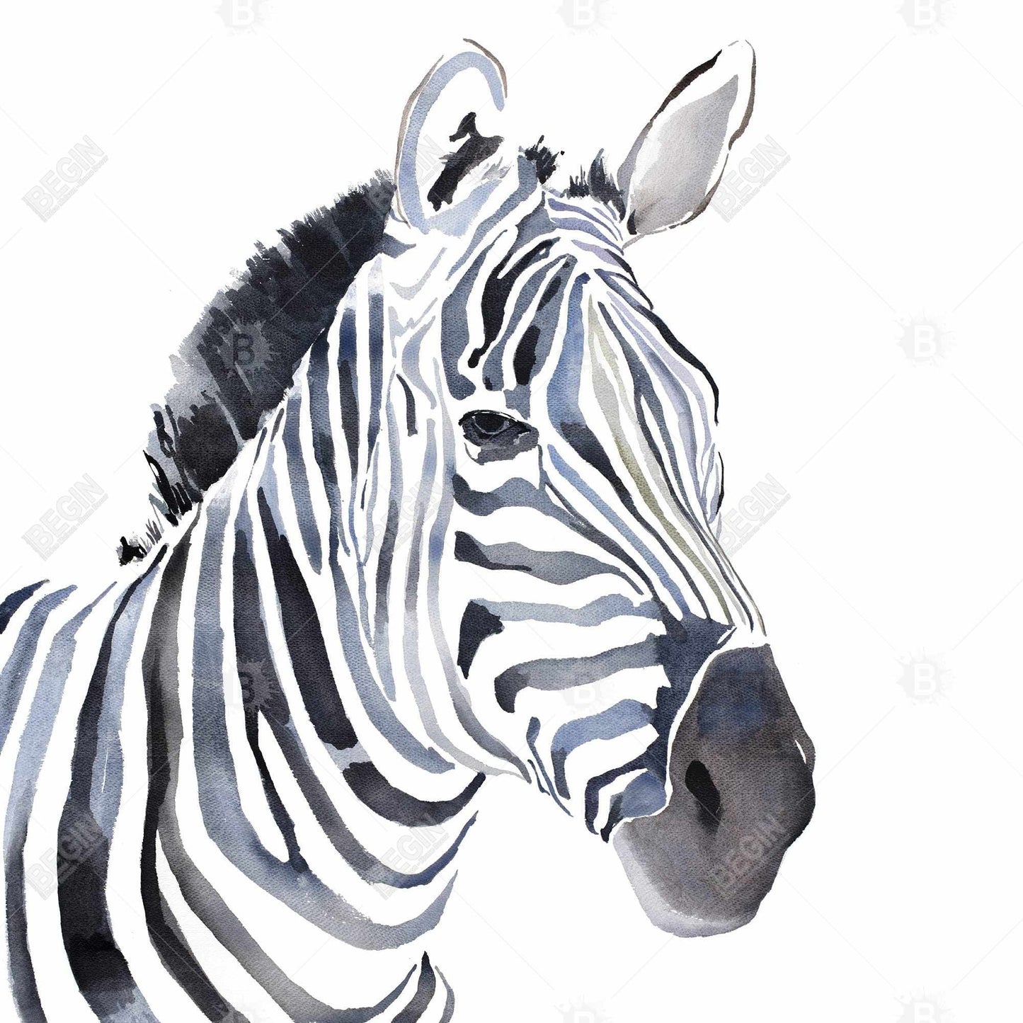 Watercolor Zebra Framed Canvas | Wildlife African Bedroom Decor