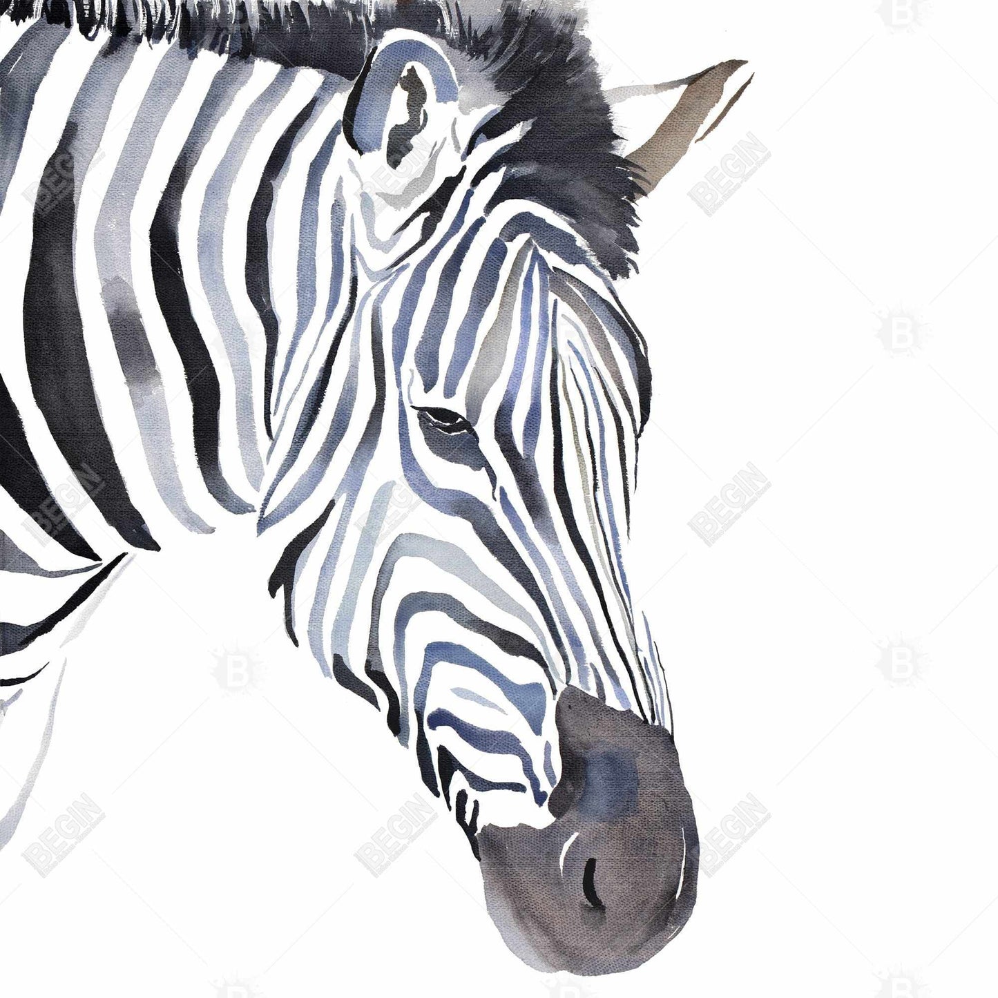 Zebra Blue Animals Bedroom Canvas | Home Decor Framed Art