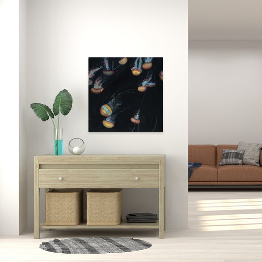 Colorful Jellyfishes Marine Blue Canvas - Home Decor Artwork