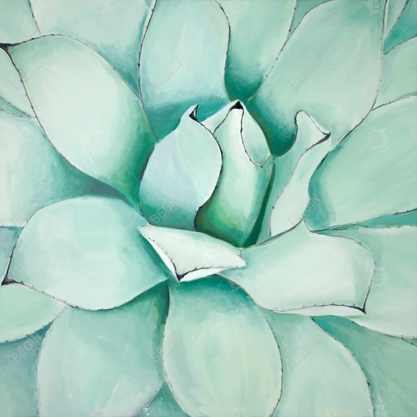 Succulent Closeup - Contemporary Floral Canvas for Home Decor