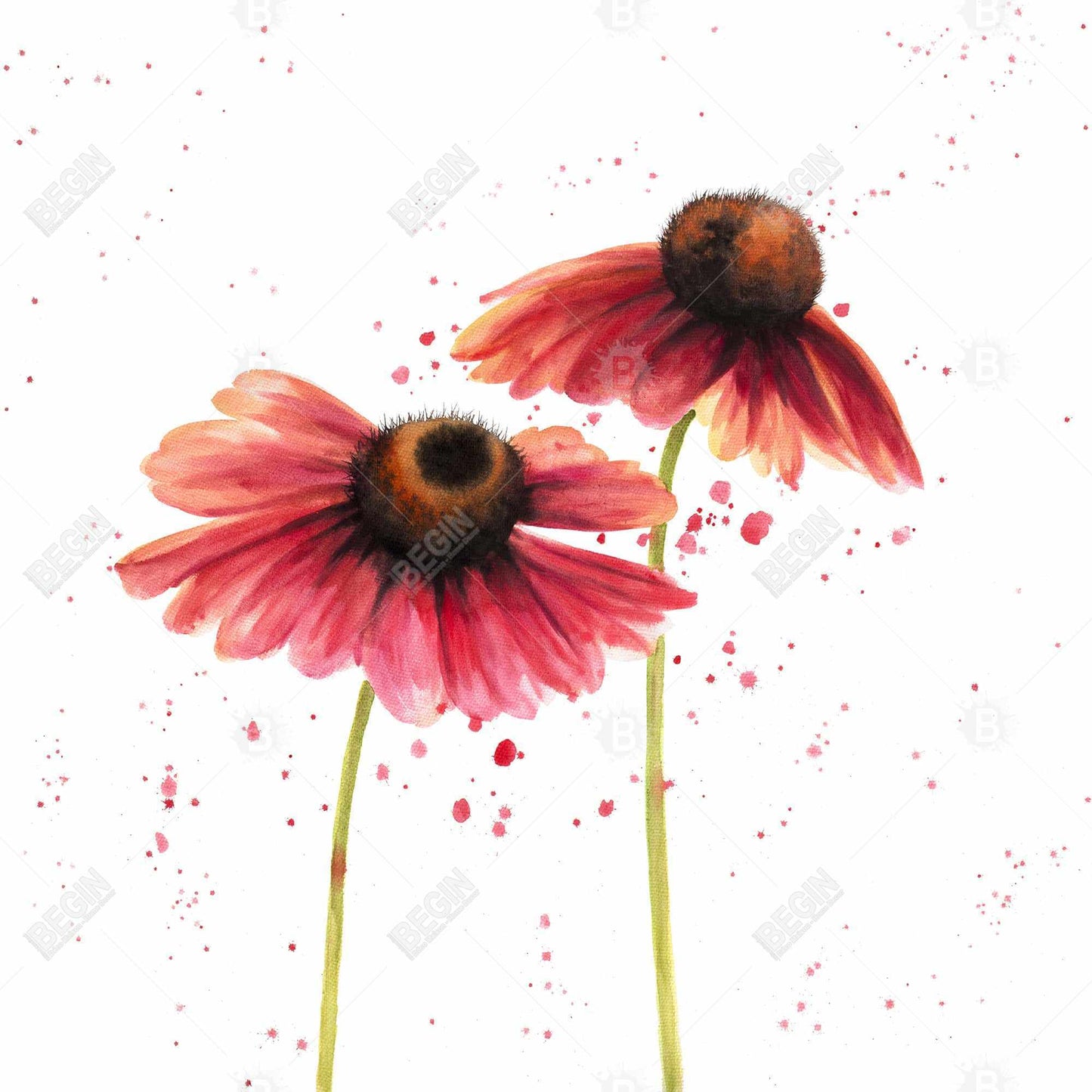 Romantic Floral Canvas - Two Pink Daisies for Home Decor