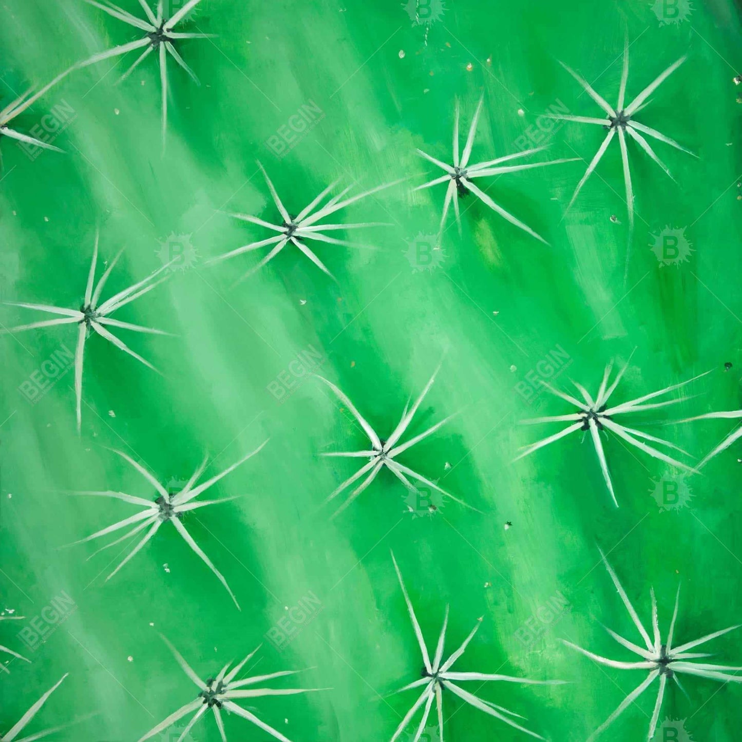 Cactus Closeup Framed Canvas - White Botanical Home Decor