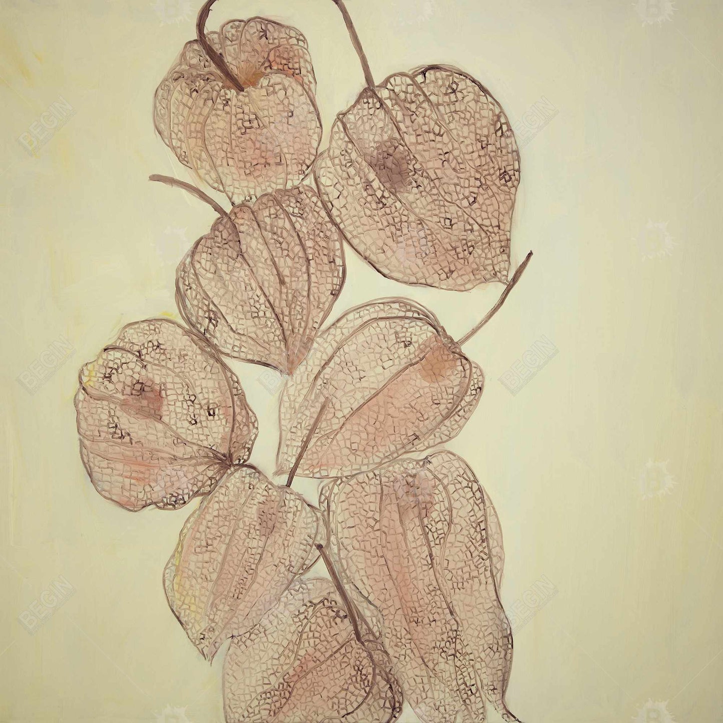 Brown Rustic Floral Botanical Canvas - Closed Ground Cherries