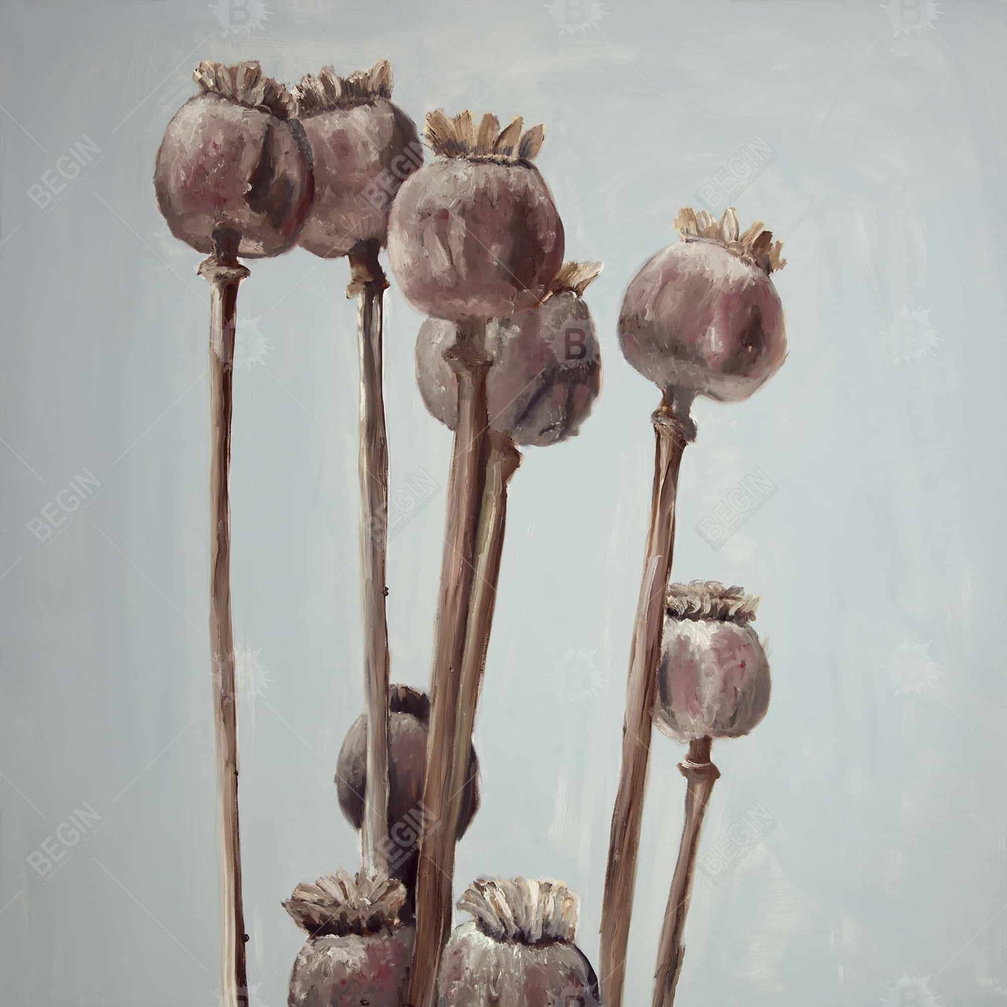 Sepia Poppy Head Canvas | Floral Botanical Wall Art Decor