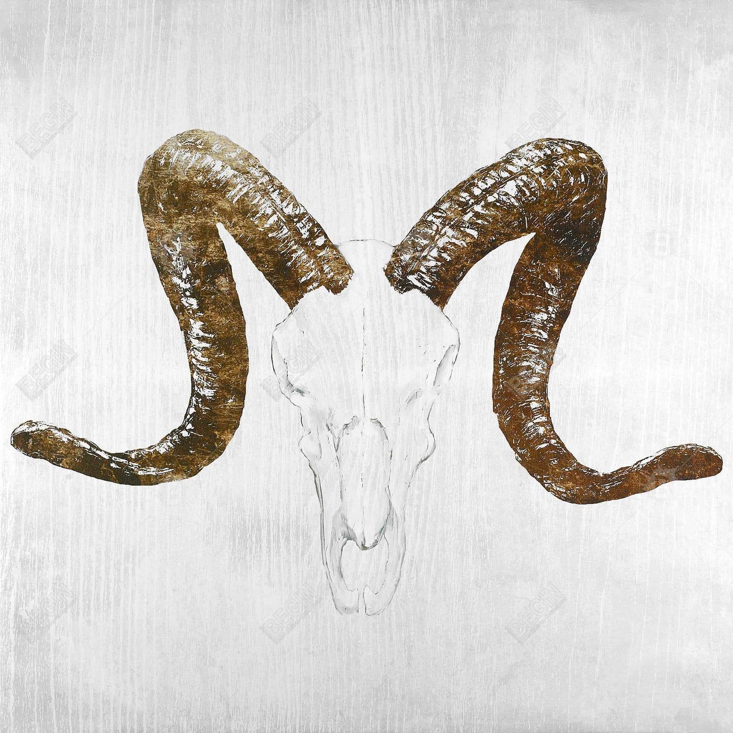 Toile Crâne d'Aeries | Décoration d'animaux de la ferme | Cornes brunes