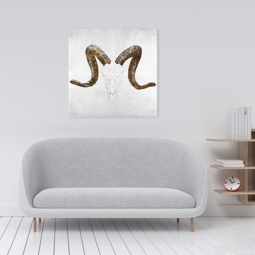 Aeries Skull Canvas | Farm Animal Decor | Brown Horns Art