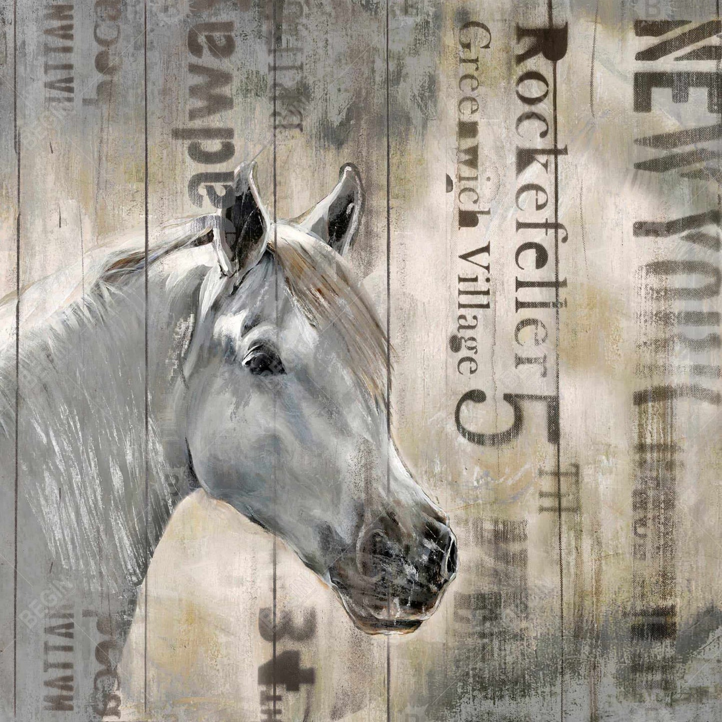 Rustic White Horse - Farm Animal Canvas | Home Decor Art